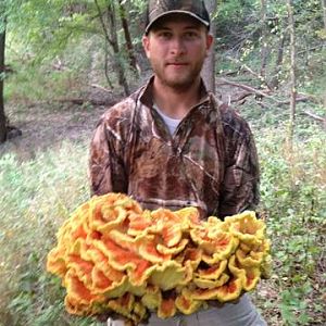 Fall Mushroom Hunting