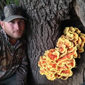 Fall Mushroom Hunting