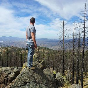 Scouting At Los Padres National Forest, California