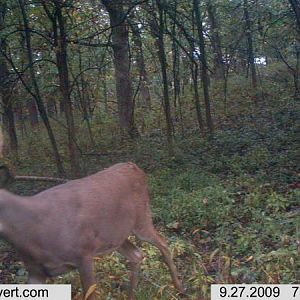 trail cam 107