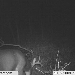 trail cam 147