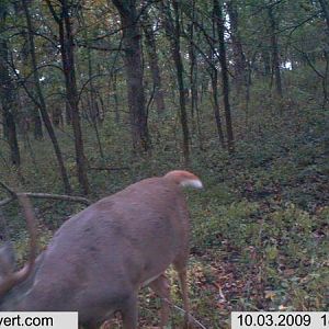 trail cam 148