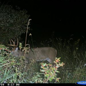 trail camera2 123