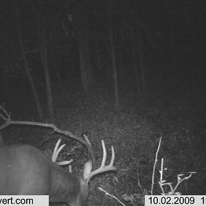 trail cam 146