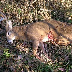 2005 Archery Buck