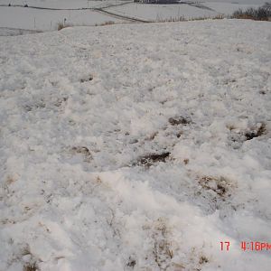 alfalfa winter pics 002