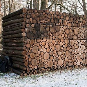 Wood pile blind 1