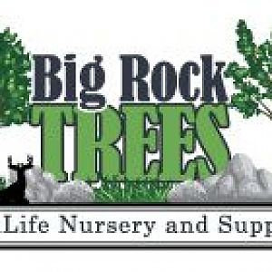 Big Rock Trees Logo