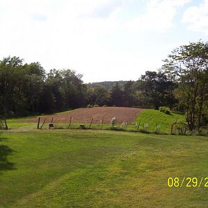 Clover plot/Ridge planted