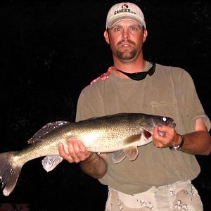 31 1/2" pool 8 Mississippi walleye