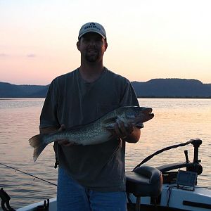 29" pool 8 mississippi walleye