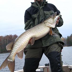 Chippewa Flowage, WI - 47.75" Hybrid