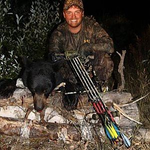 Ontario Bear 2008, shot with my bow