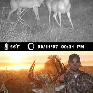 My sons 07 bow buck, cool harvest pic that morning with the fog!