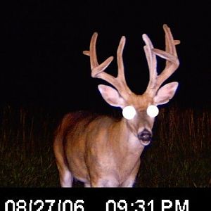 Brow tine buck, he was younger and I passed on him with bow. Probably shouldn't have since he never made another season..