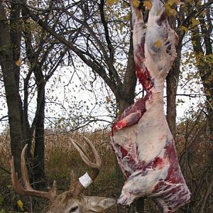 Iowa 07, butchered him on the spot and had him in coolers in the car and headed home in no time!
