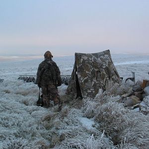 blind hunting in big crp country