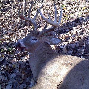 Dad's 10 pnt