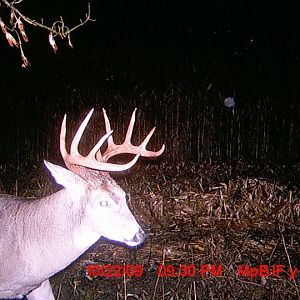 PT 2009 trail cam