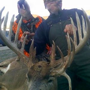 Huge Iowa buck